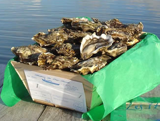 http://www.bassindarcachon.com/public/huitre/prod_5.jpg