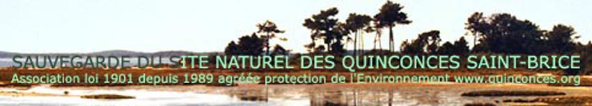en-tête mail.jpg