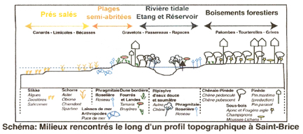 numérisation0001 copie.jpg