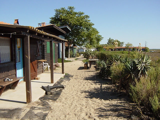 ile_aux_oiseaux_arcachon.jpg