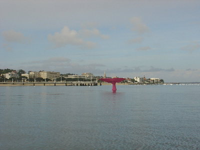 queue de baleine 2.jpg