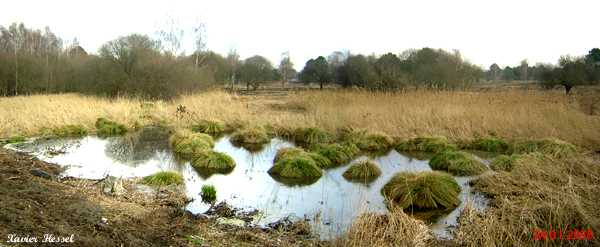 Panoramique3.jpg