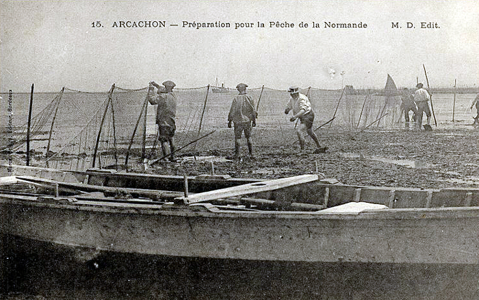 peche-palet-arcachon.jpg