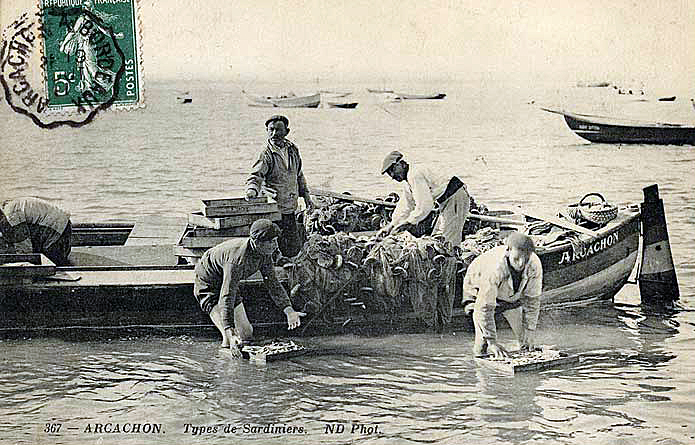 peche-sardine-arcachon.jpg