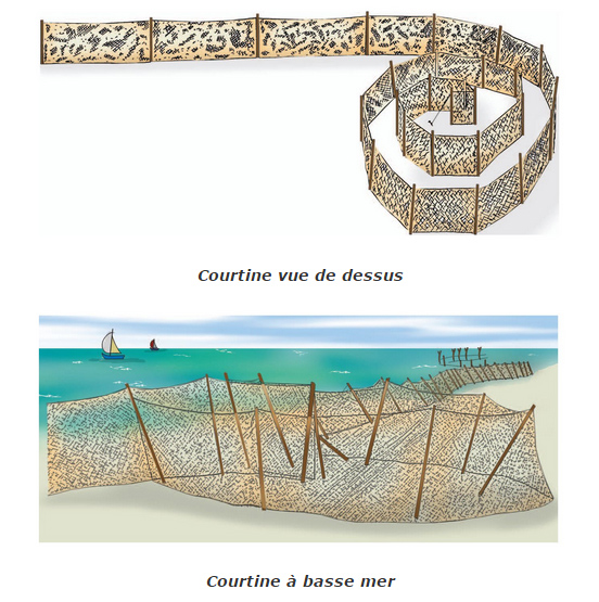peche_palet_arcachon.jpg