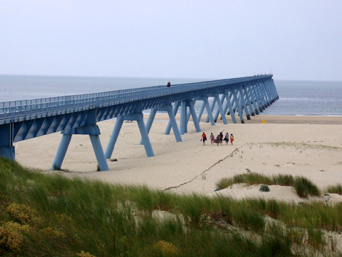 warf_arcachon.jpg